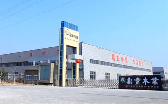 【专访】918博天堂股份副总经理陈晓东：灵活布局发掘强劲产能 助力项目成果“落地生金”